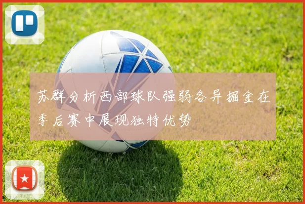 苏群分析西部球队强弱各异掘金在季后赛中展现独特优势